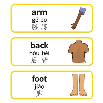 چینی فلیش کارڈز